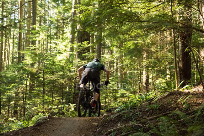 Vista posteriore del ciclista maschile in bicicletta nella foresta in una giornata di sole — Foto stock