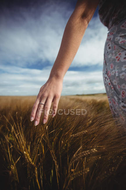 Image recadrée de Femme main touchant le blé dans le champ par une journée ensoleillée dans la campagne — Photo de stock