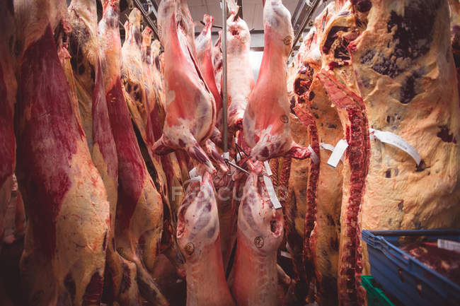 Peeled red meat hanging in the storage room at butchers shop — Stock Photo