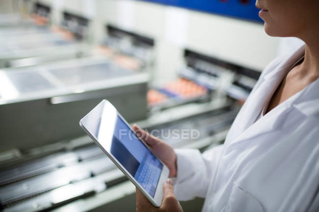 Imagem cortada da equipe feminina usando tablet digital ao lado da linha de produção na fábrica de ovos — Fotografia de Stock
