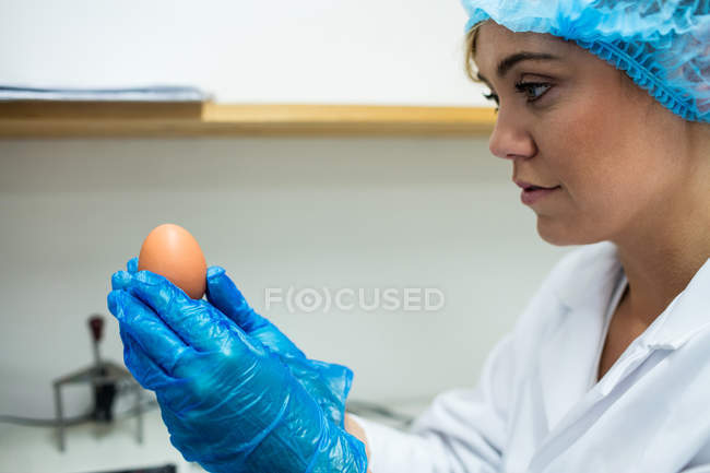 Beautiful female staff examining egg in egg factory — Stock Photo