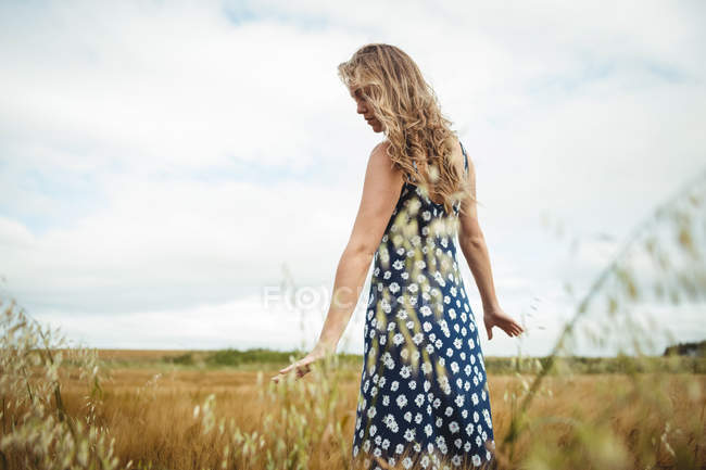 Красива жінка торкається пшениці в полі — стокове фото