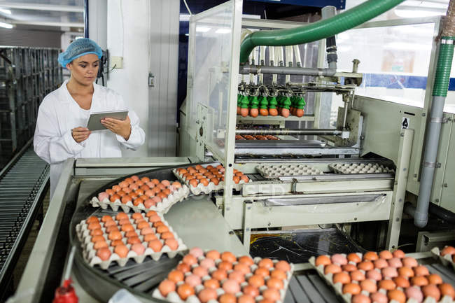 Femme utilisant une tablette numérique lors de l'examen des œufs sur bande transporteuse en usine — Photo de stock