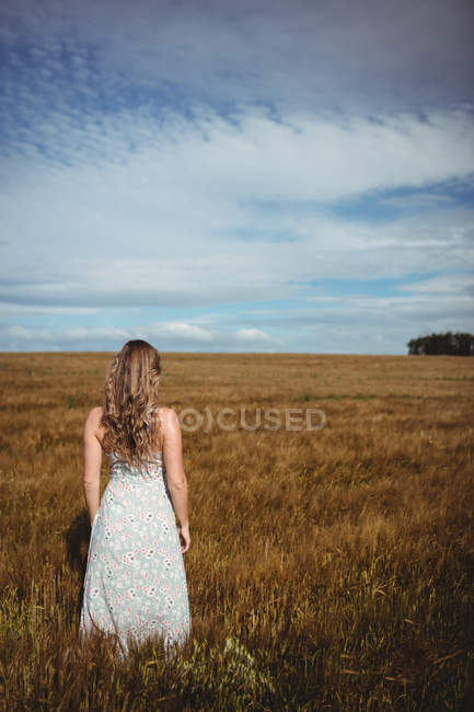 Visão traseira da mulher em pé no campo de trigo no dia ensolarado — Fotografia de Stock