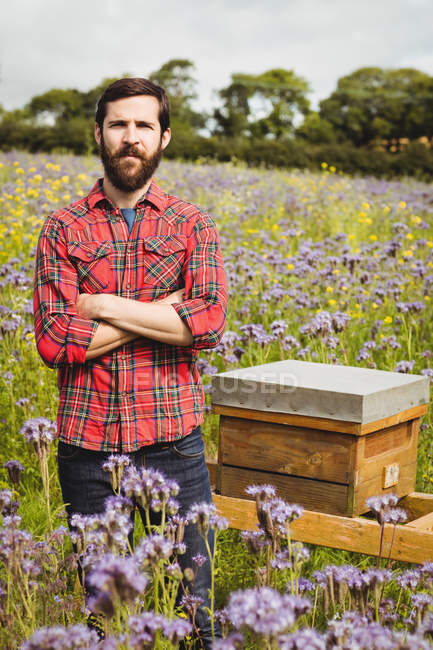 Retrato del apicultor de pie con los brazos cruzados en el campo de flores - foto de stock