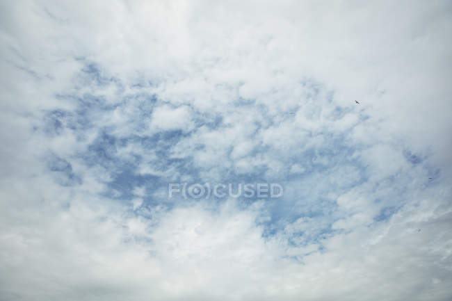 Vista del cielo nublado en el día soleado - foto de stock