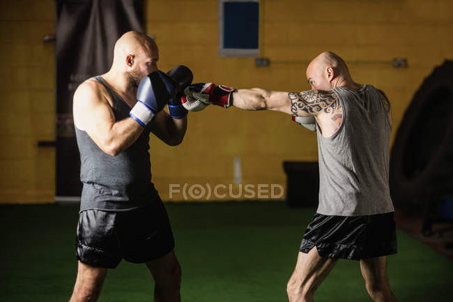 Vista lateral de dois boxers de chute praticando no ginásio — Fotografia de Stock