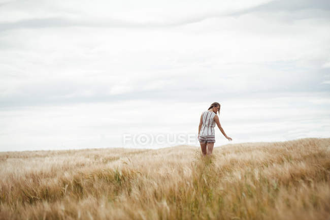 Mujer tocando trigo en el campo en un día soleado en el campo - foto de stock