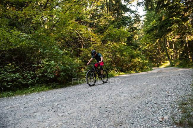 Ciclista masculino pedalando na floresta em um dia ensolarado — Fotografia de Stock