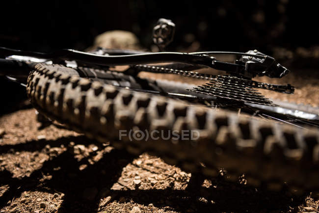 Close-up de bicicleta no chão na floresta à luz do sol — Fotografia de Stock
