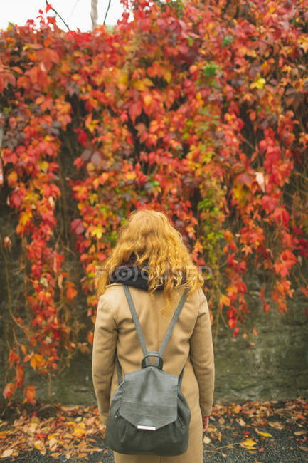 Visão traseira da mulher de pé contra a planta trepadora durante o outono — Fotografia de Stock