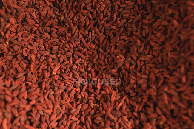 Cadre complet d'épices exposé au supermarché — Photo de stock