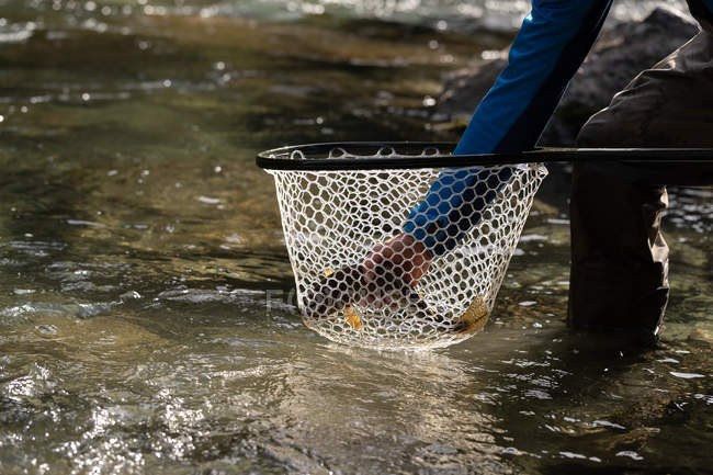 Secção intermédia do pescador que detém peixes na rede de pesca — Fotografia de Stock