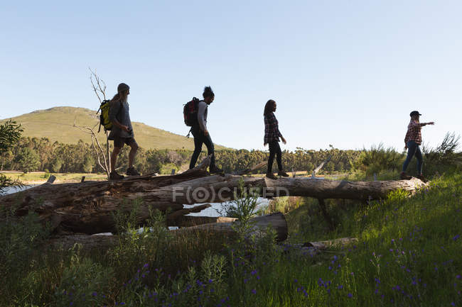 Groupe d'amis randonnée à travers la forêt par une journée ensoleillée — Photo de stock