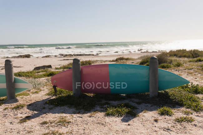 Tabla de surf en la playa en un día soleado - foto de stock