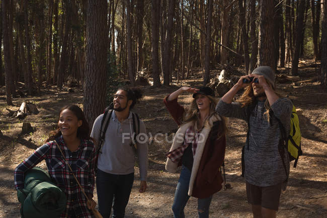 Група друзів, які ходять в лісі в сонячний день — стокове фото