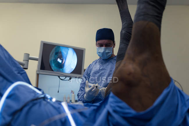 Chirurg untersucht Pferd im Operationssaal des Krankenhauses — Stockfoto