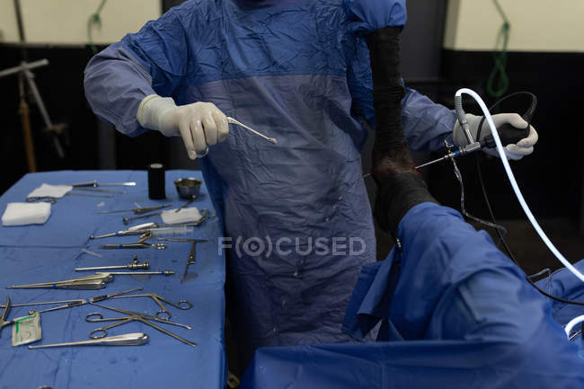 Secção média do cirurgião que opera um cavalo no teatro de operações — Fotografia de Stock