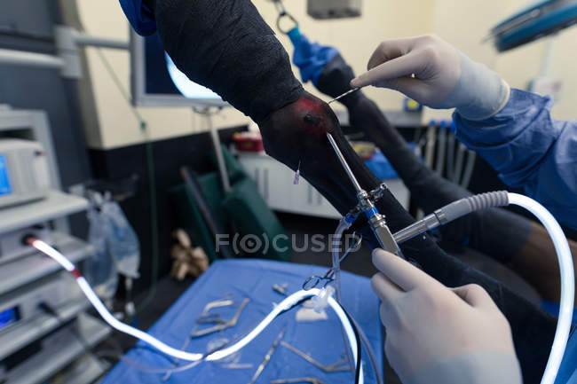 Close-up of surgeon operating a horse in operation theatre — Stock Photo