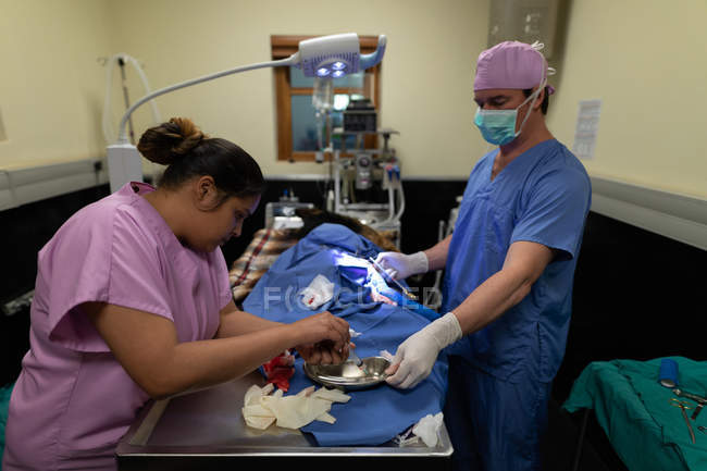 Хирург оперирует собаку в операционной в ветеринарной клинике — стоковое фото