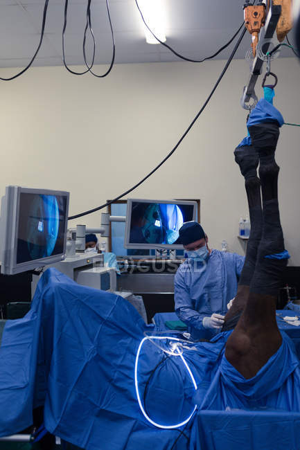 Male surgeon operating a horse in operation theatre at hospital — Stock Photo