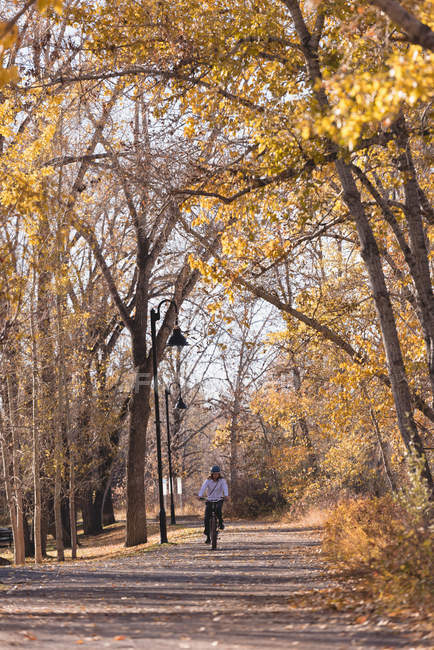 Homem andando de bicicleta em uma estrada no parque — Fotografia de Stock