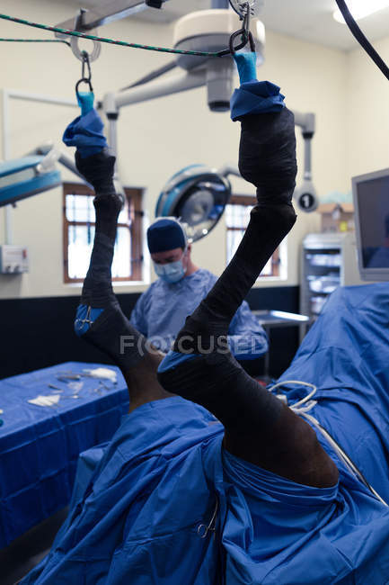 Male surgeon examining a horse in operation theatre at hospital — Stock Photo