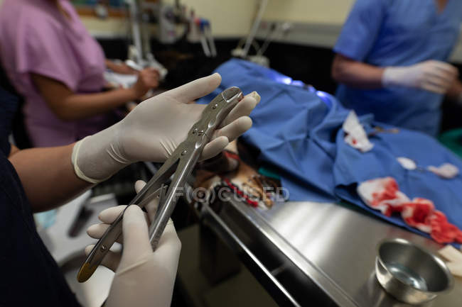 Cirurgião que opera um cão em sala de operações no hospital de animais — Fotografia de Stock