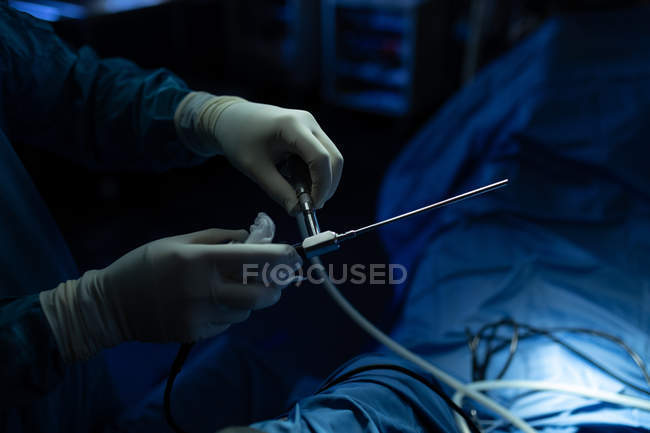 Chirurg untersucht Pferd im Operationssaal im Krankenhaus — Stockfoto