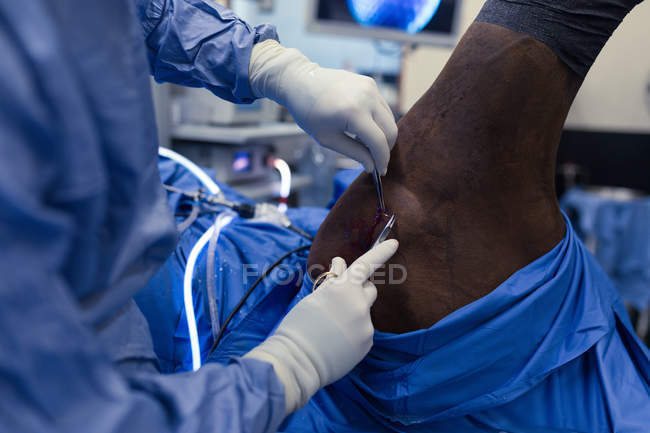 Chirurgin untersucht Pferd im Operationssaal des Krankenhauses — Stockfoto