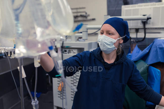 Female surgeon checking iv saline drop in hospital — nurse, animal surgeon  - Stock Photo | #230830690