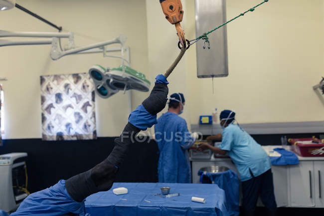 Cirurgião e enfermeiro que trabalham em sala de operações no hospital — Fotografia de Stock