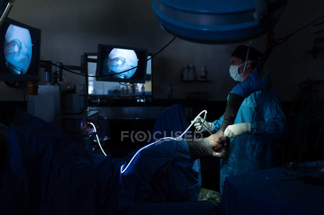 Cirurgião examina cavalo em sala de operações no hospital — Fotografia de Stock