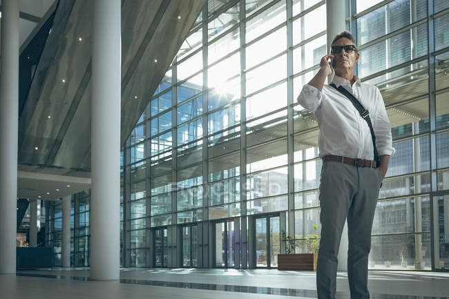 Frontansicht eines selbstbewussten Geschäftsmannes, der in einem großen, leeren Büro mit Gebäuden im Hintergrund am Mobiltelefon spricht — Stockfoto