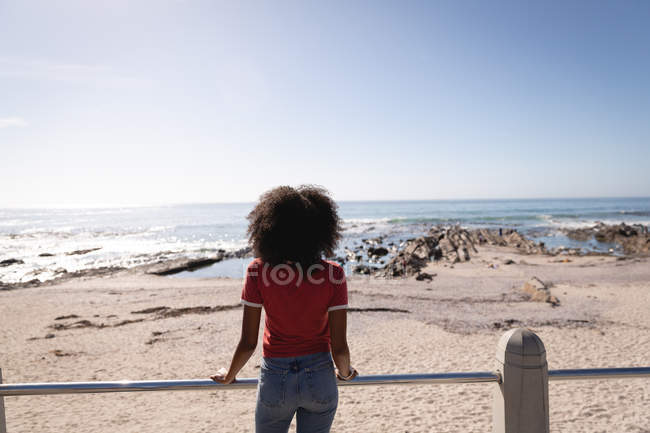 Заднього виду афро-американських красиві жінки стоять біля пляжу. Дивлячись на горизонті — стокове фото