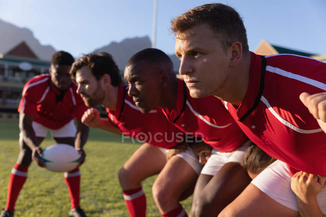 Vista lateral de jugadores de rugby multiétnicos masculinos preparándose para un scrum en el estadio en un día soleado - foto de stock