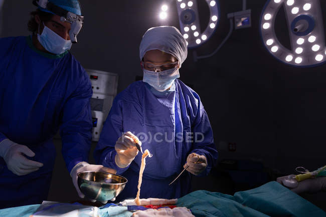 Vista frontal del cirujano poniendo un poco de carne humana en un tazón con su asistente a su lado mientras están haciendo una operación sobre un paciente - foto de stock