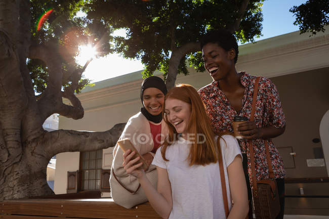 Vista frontal de amigos femeninos felices de raza mixta usando el teléfono móvil mientras están sentados en el banco bajo el árbol - foto de stock