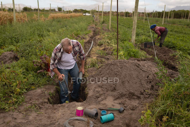 Vista frontale dell'agricoltore caucasico senior che fissa una grande valvola del tubo dell'acqua di irrigazione nel campo in fattoria — Foto stock