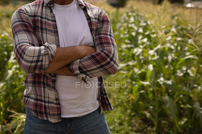 Mittlerer Abschnitt des männlichen Bauern, der mit gekreuzten Armen auf dem Feld auf dem Hof steht — Stockfoto