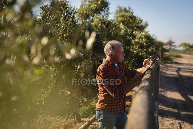 Side view of senior Caucasian male farmer writing on notepad while standing in farm on a sunny day — Stock Photo