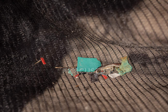 Close-up de resíduos em uma rede na praia em um dia ensolarado — Fotografia de Stock