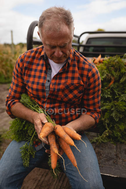 Vista frontal de um agricultor masculino caucasiano sênior carregando cenouras colhidas no veículo em um dia ensolarado — Fotografia de Stock