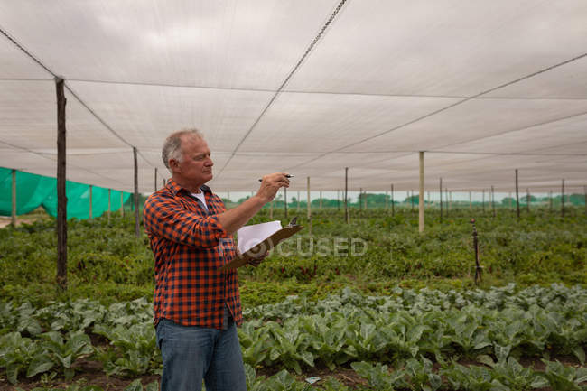 Vista lateral de um agricultor caucasiano sênior que mantém o registro de plantas na área de transferência em estufa — Fotografia de Stock