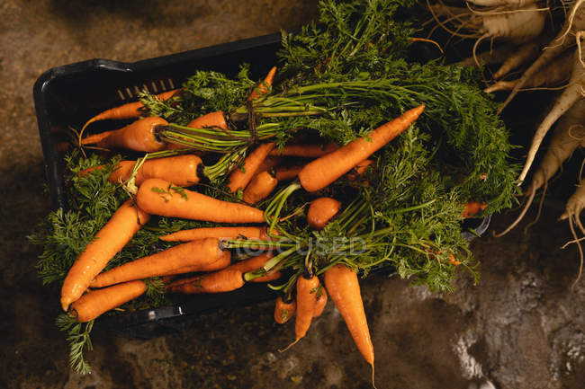 Vista di angolo alto di mazzo di ravanello bianco e carote arancioni in vassoio — Foto stock