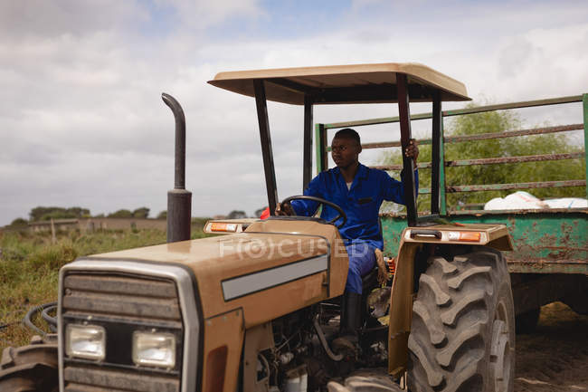 Vista frontal de agricultor afroamericano conduciendo tractor con remolque verde en granja - foto de stock