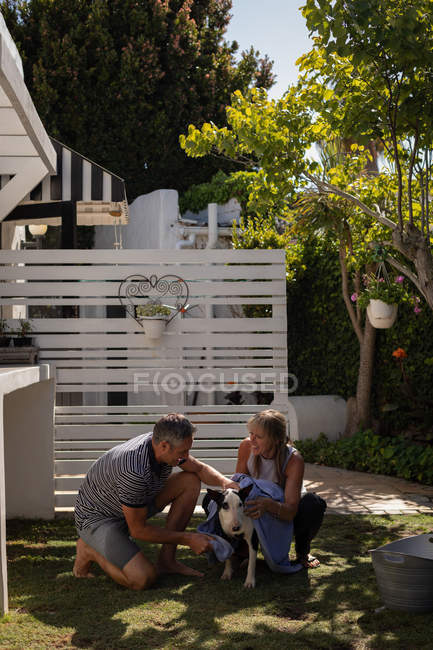 Front view of mature Caucasian couple cleaning and drying out their dog in the garden — Stock Photo