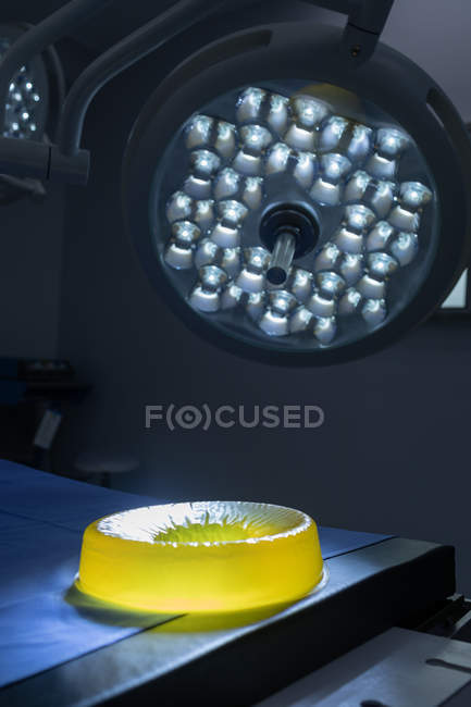 Vista frontal de la luz quirúrgica en quirófano en el hospital - foto de stock