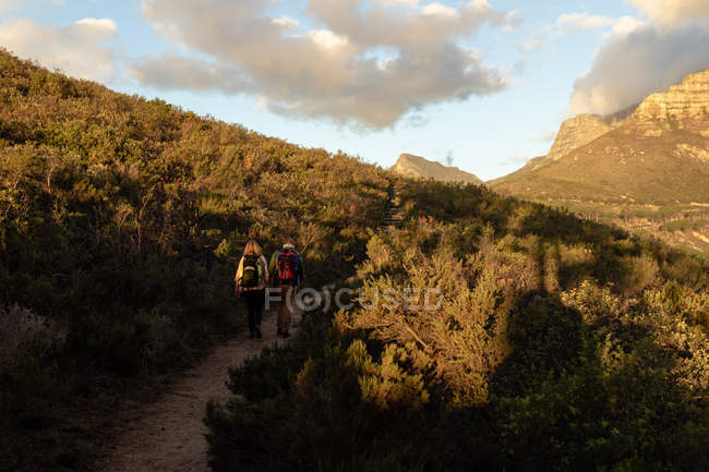 Vue arrière d'une femme blanche mature et d'un homme portant des sacs à dos marchant sur un sentier vers une montagne lors d'une randonnée . — Photo de stock