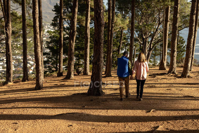 Back view of a mature Caucasian woman and man holding hands and walking together through a forest towards the sea during a hike — Stock Photo